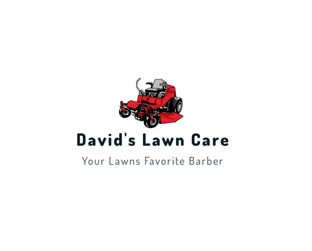 Custom yard cleanup service for beautiful yards across Port Charlotte, FL - David's Lawn Care
