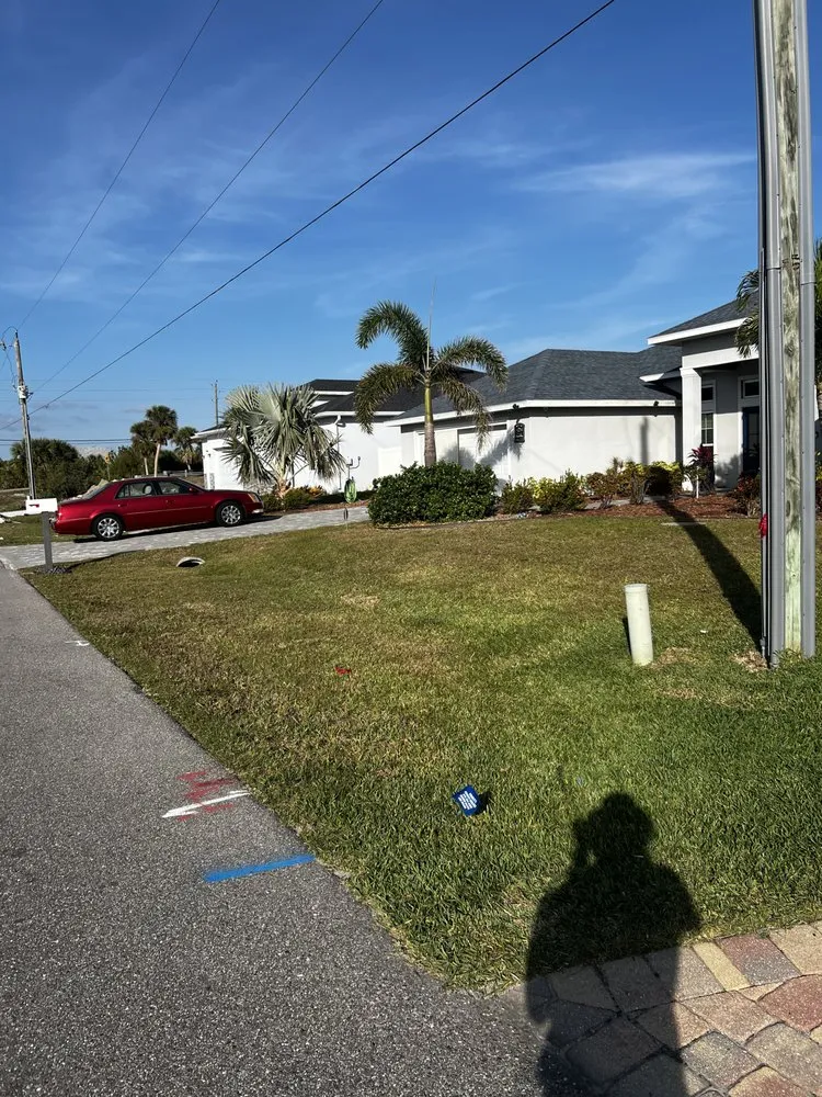 Local yard cleanup service in Port Charlotte, FL by David's Lawn Care