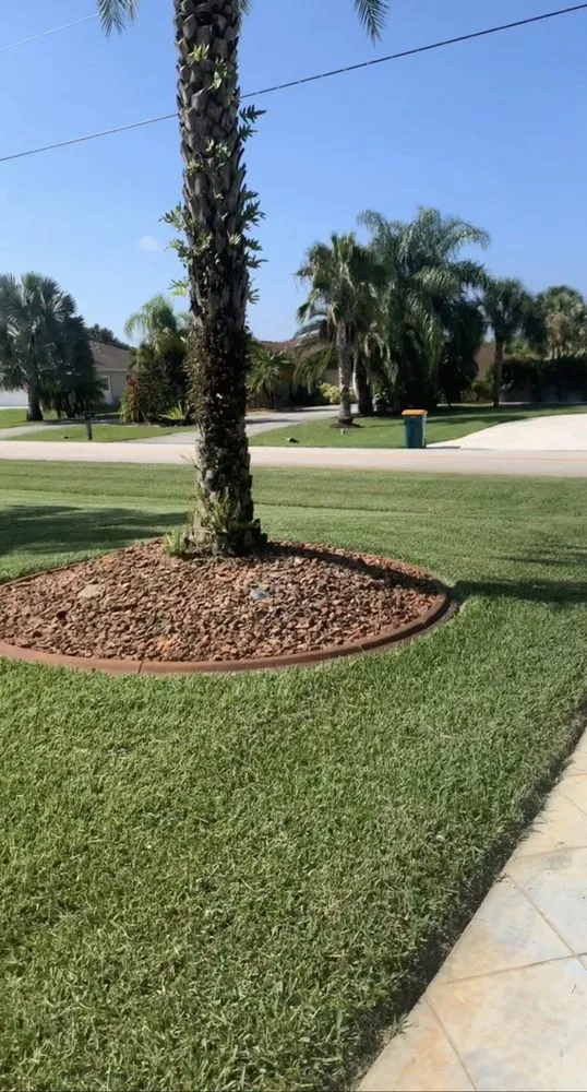 Expert outdoor landscaping in Port Charlotte, FL - David's Lawn Care