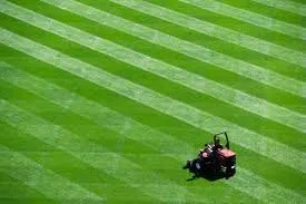 Affordable outdoor landscaping for outdoor upgrades in Parkhill, PA by David's Lawn Care Service