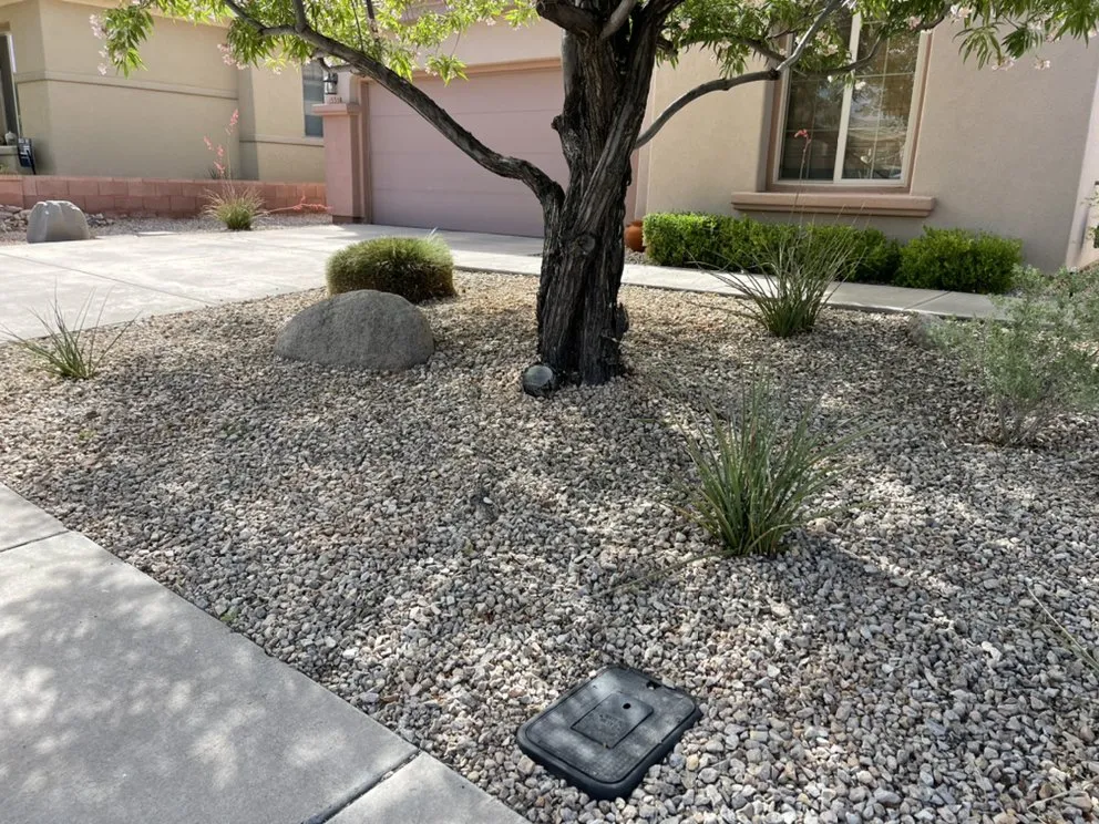 Expert lawn care service in St. George, UT - David’s Lawn Care Service