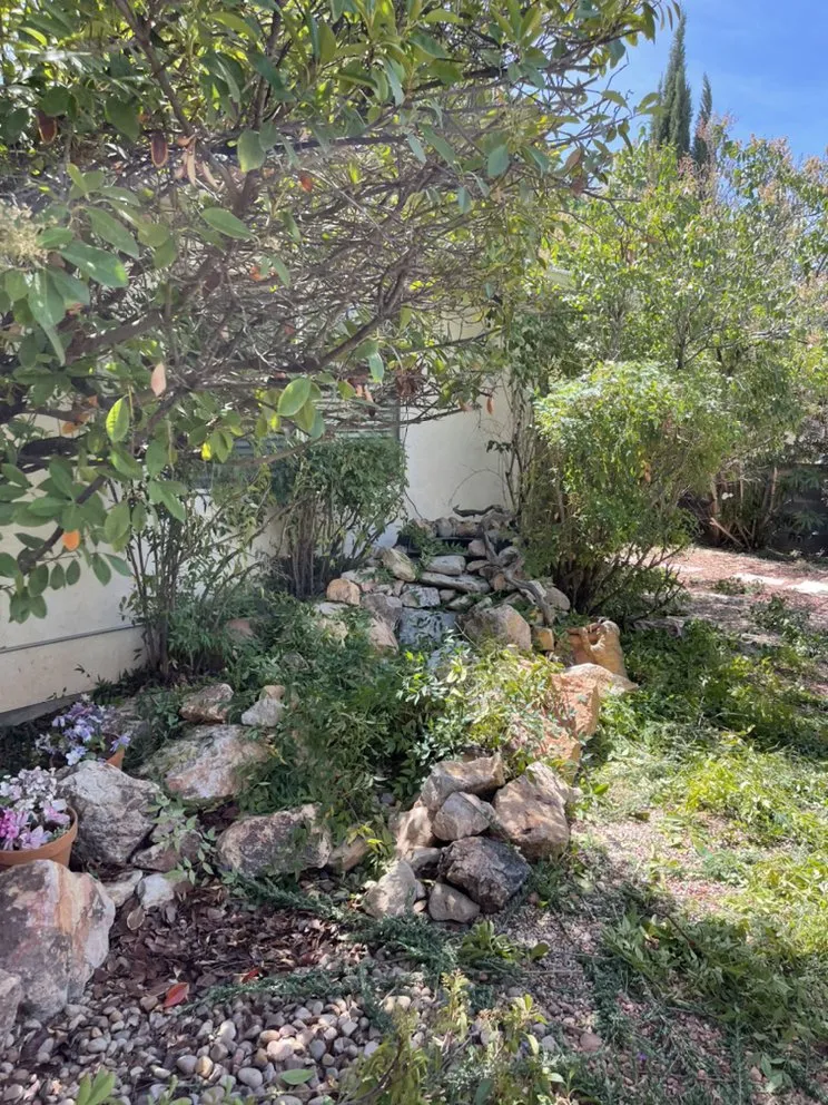 Reliable yard maintenance for residential properties in St. George, UT by David’s Lawn Care Service