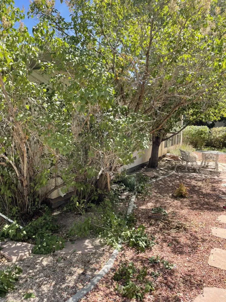 Custom residential landscaping with custom design in St. George, UT by David’s Lawn Care Service