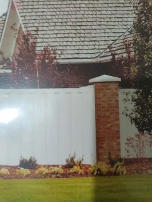 David's Lawn care Services