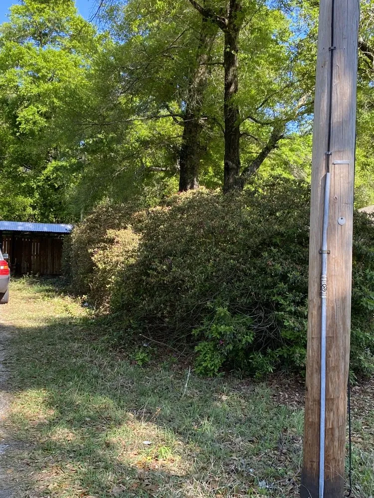 Affordable landscape design near you across Milton, FL - David's Lawn Maintenance and Tree Trimming