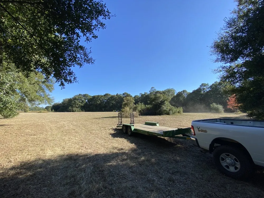 Expert lawn care service for year-round maintenance across Milton, FL - David's Lawn Maintenance and Tree Trimming