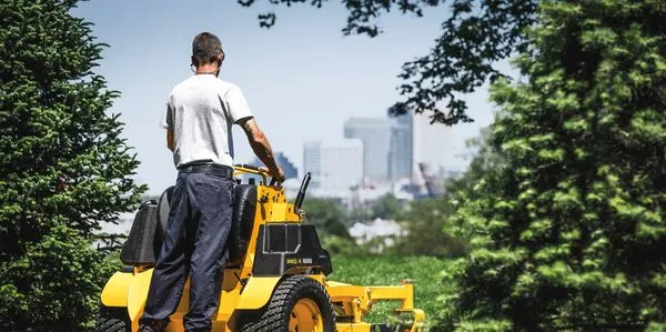 David’s Lawn Maintenance Logo