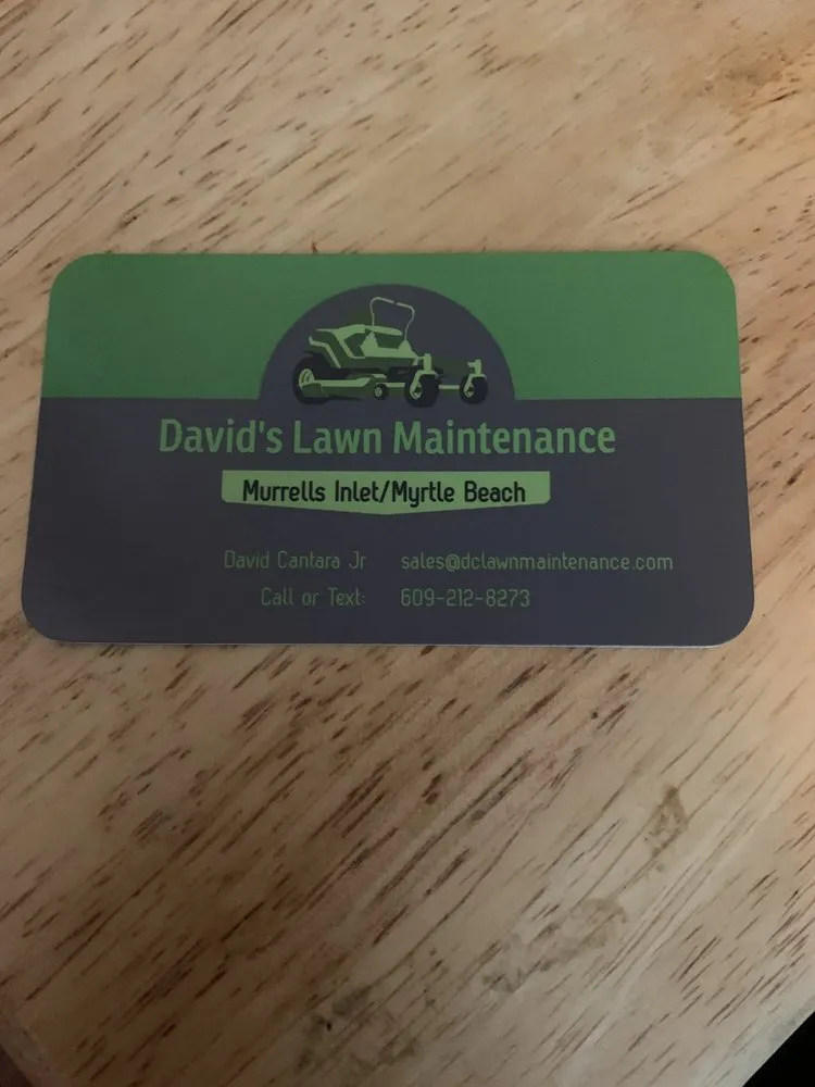 Reliable lawn mowing service in Myrtle Beach, SC by David’s Lawn Maintenance
