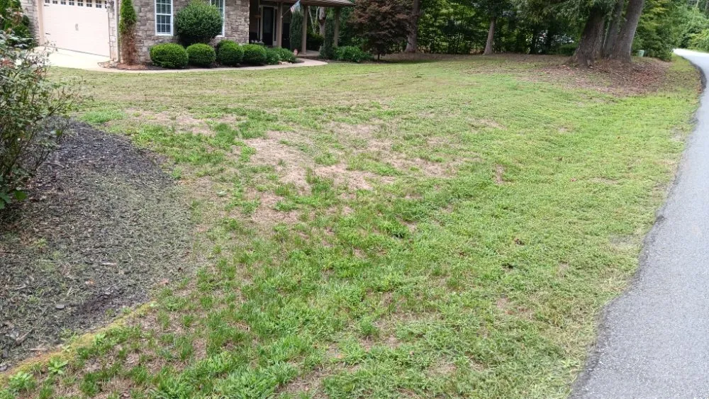Top-rated residential landscaping experts serving Spartanburg, SC - Davids Lawn Mowing
