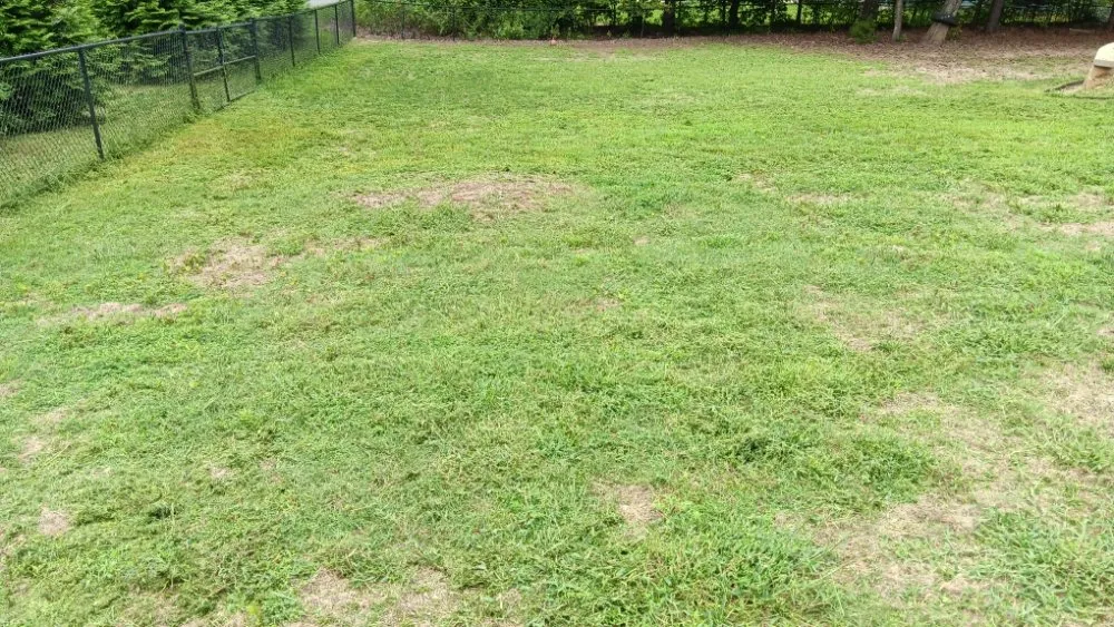 Local landscape installation in Spartanburg, SC - Davids Lawn Mowing