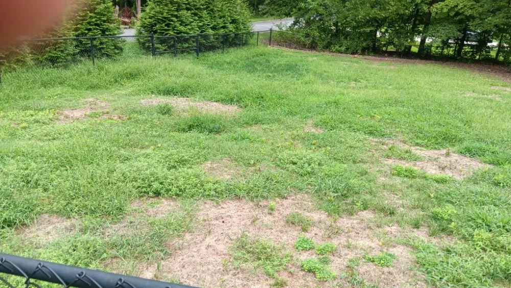 Top-rated outdoor landscaping for year-round maintenance in Spartanburg, SC by Davids Lawn Mowing