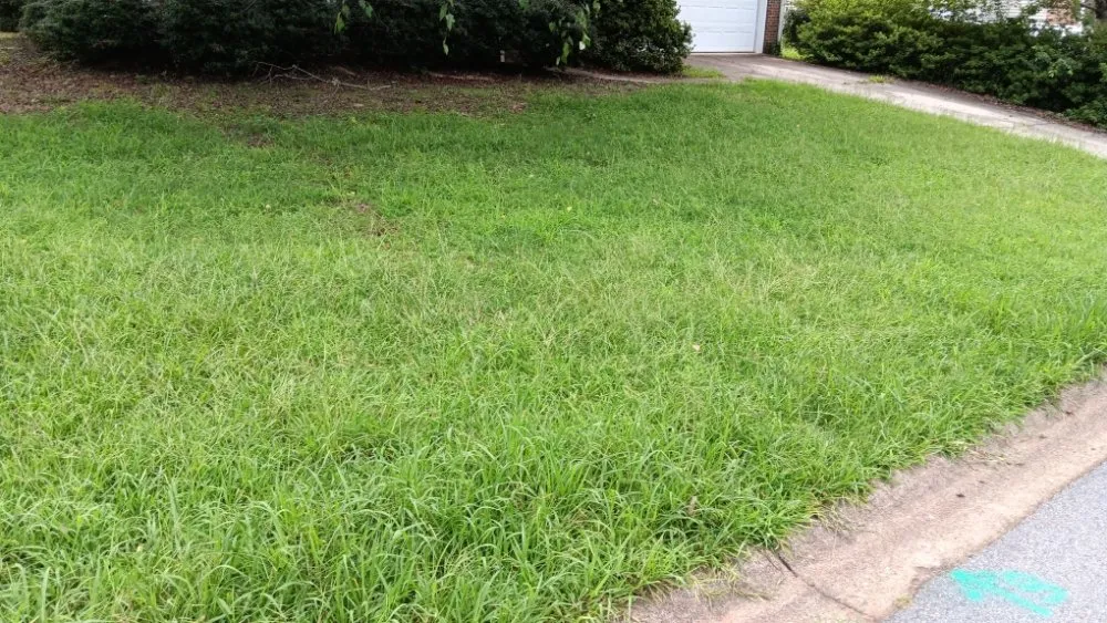 Professional landscape design with custom design across Spartanburg, SC - Davids Lawn Mowing