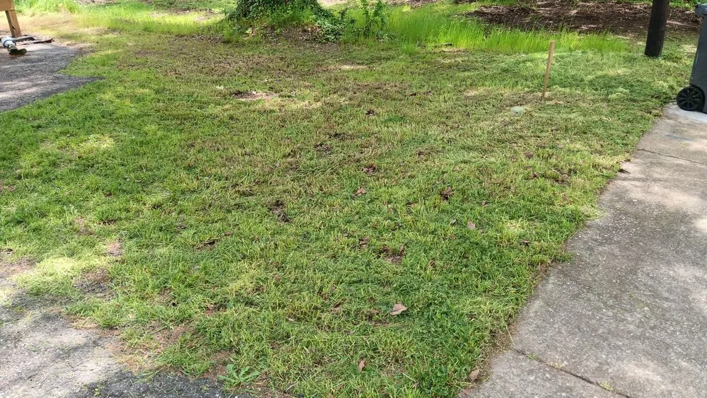 Trusted outdoor landscaping experts serving Spartanburg, SC - Davids Lawn Mowing