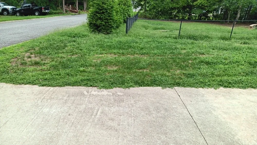 Trusted yard cleanup service with custom design in Spartanburg, SC by Davids Lawn Mowing
