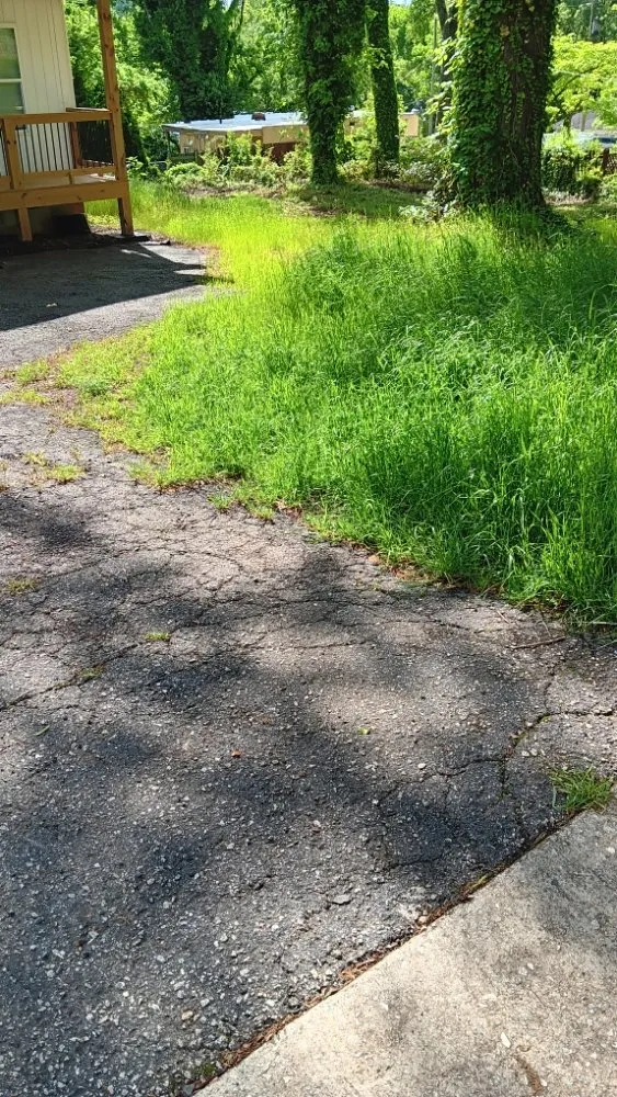 Trusted lawn care service experts serving Spartanburg, SC - Davids Lawn Mowing