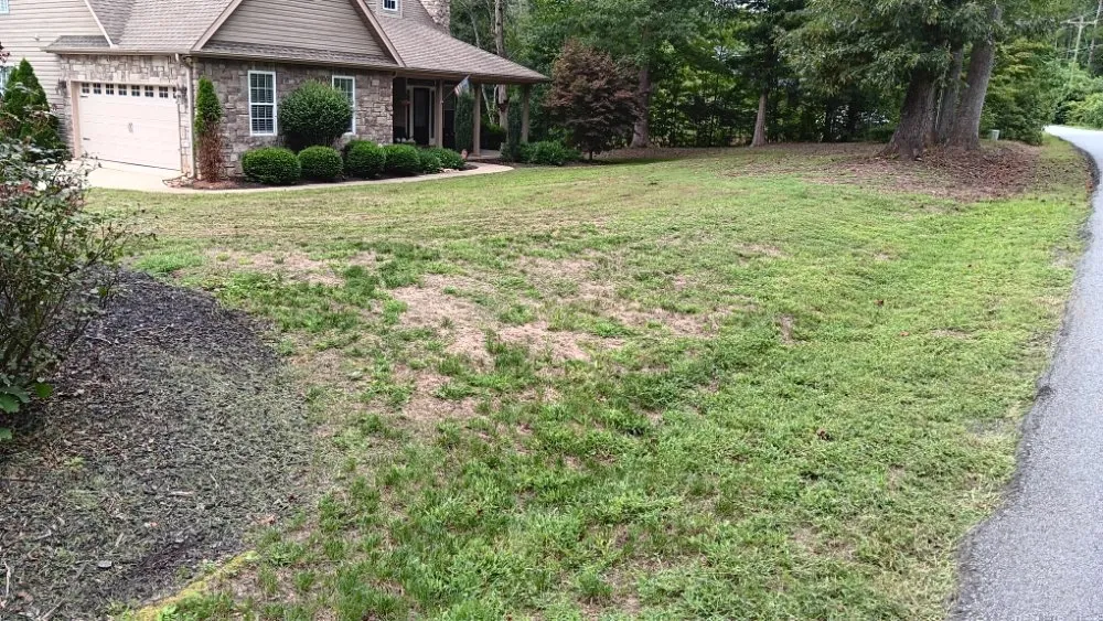 Professional landscape installation experts serving Spartanburg, SC - Davids Lawn Mowing