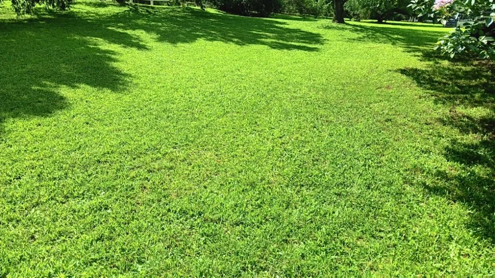 Top-rated landscape design for homes in Spartanburg, SC by Davids Lawn Mowing