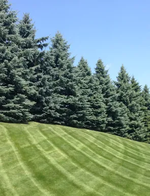 Top-rated garden landscaping for outdoor upgrades across Plymouth, MN - David's Lawn Service