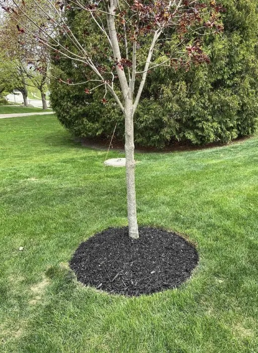 Professional residential landscaping experts serving Lake Mills, WI - David's Lawn Services