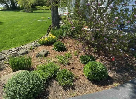 Custom landscape installation for homes across Lake Mills, WI - David's Lawn Services