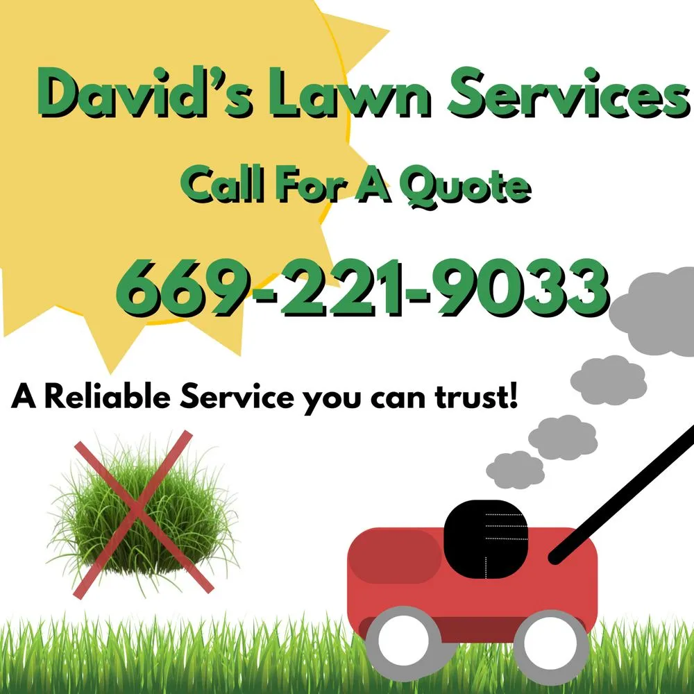 Top-rated landscaping services for residential properties in Little Elm, TX by David’s Lawn Services