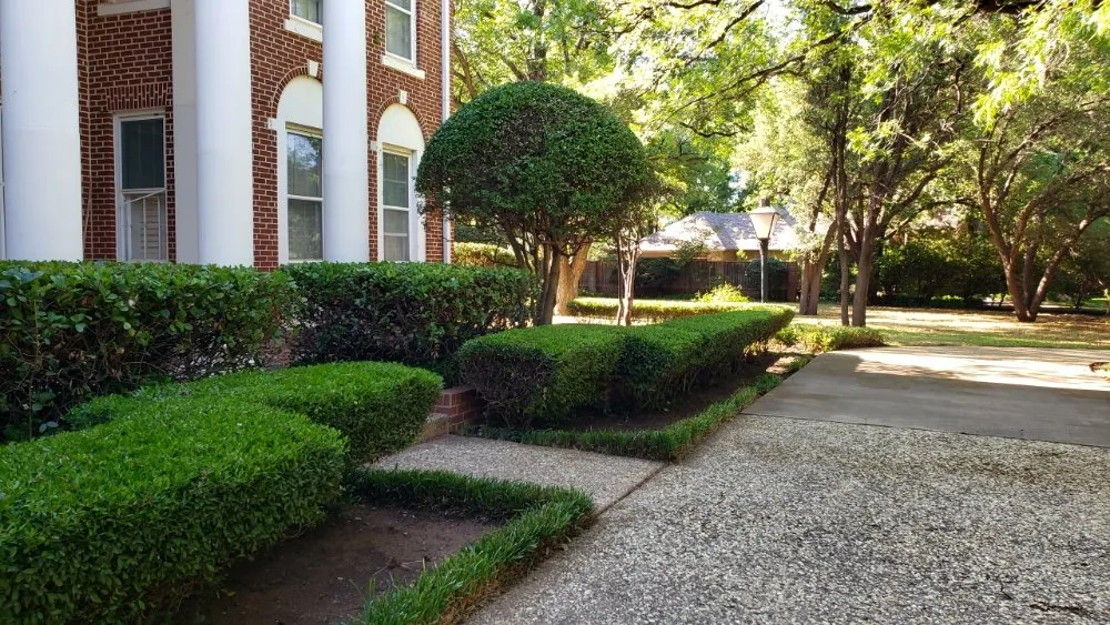 Reliable garden landscaping in Abilene, TX - David's Lawncare
