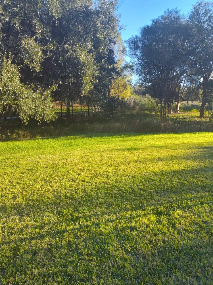Expert lawn care service for beautiful yards in Houston, TX by David's Lawns Care