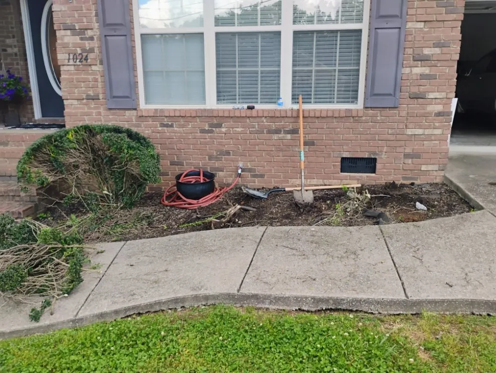 Affordable landscape design for residential properties across Lewisburg, TN - David's