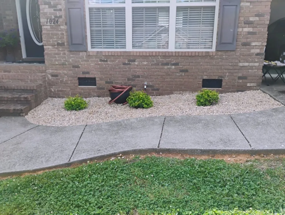 Top-rated yard maintenance in Lewisburg, TN by David's