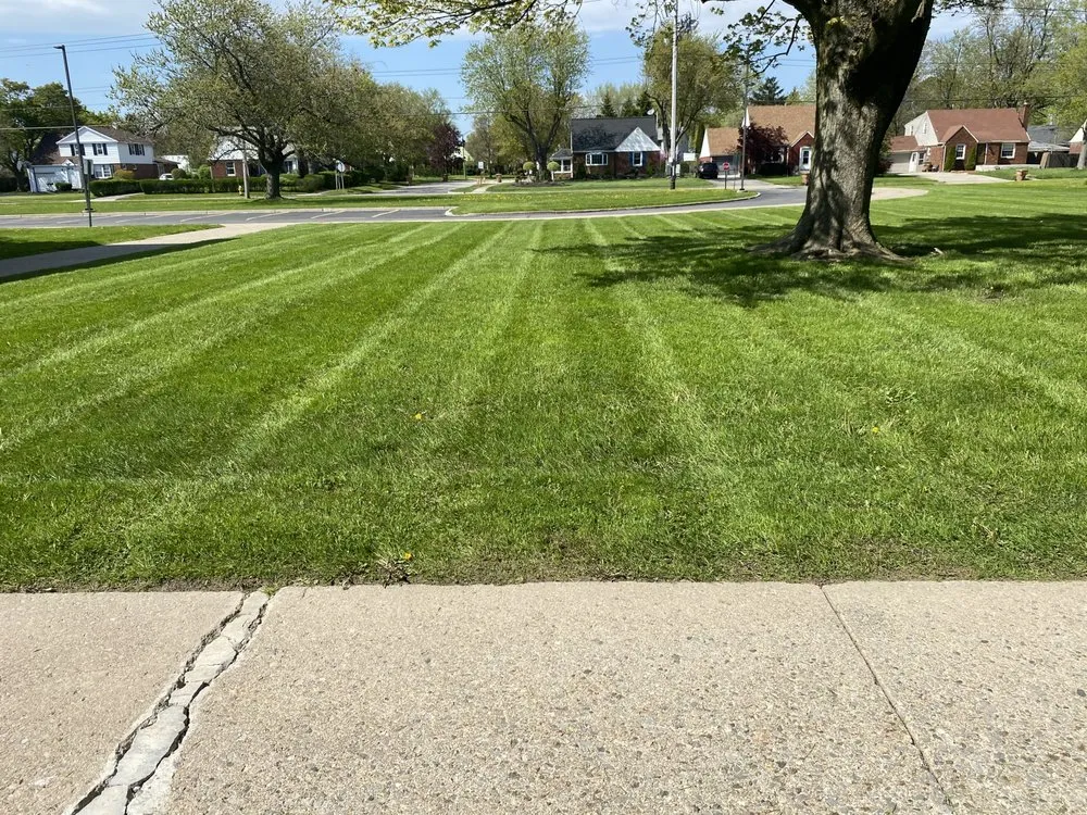Custom yard cleanup service for outdoor upgrades across Buffalo, NY - David’s Mowing