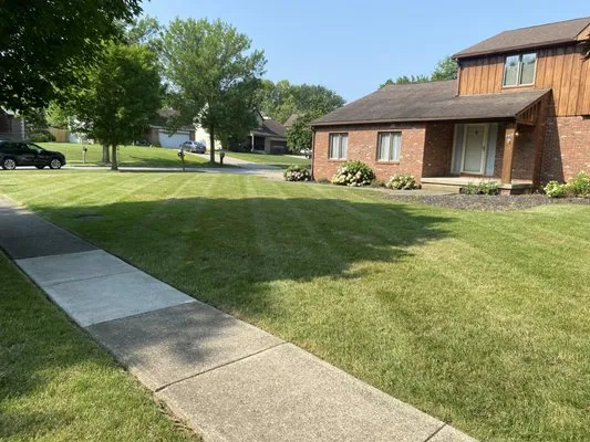 David’s Mowing Logo