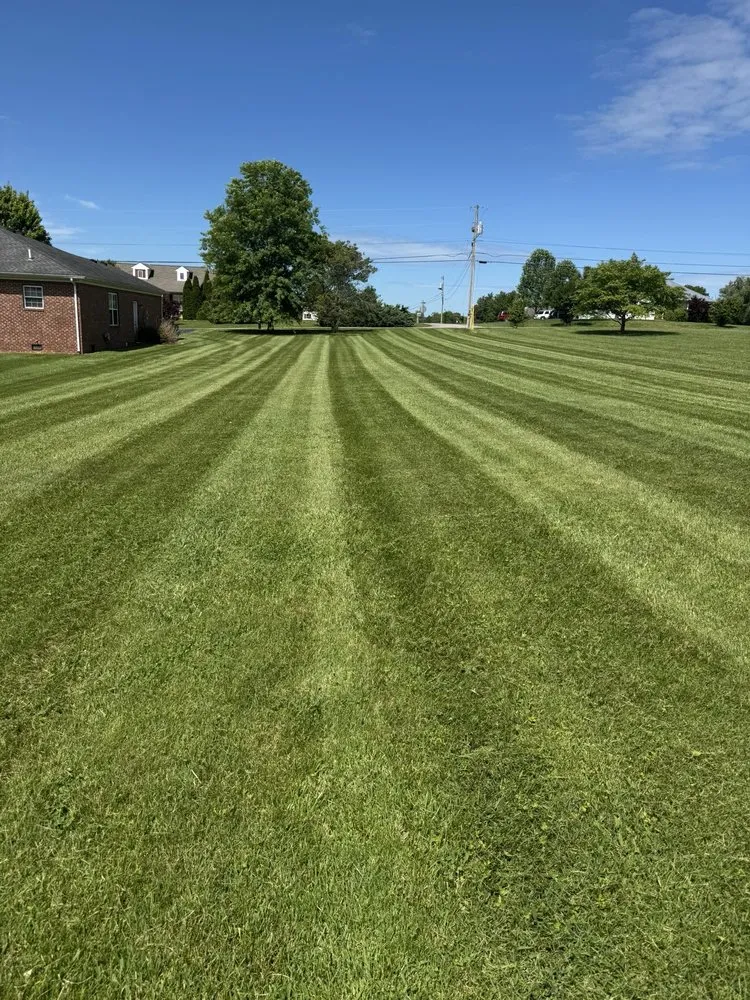 Expert lawn mowing service experts serving Bowling Green, KY - David’s Mowing Service