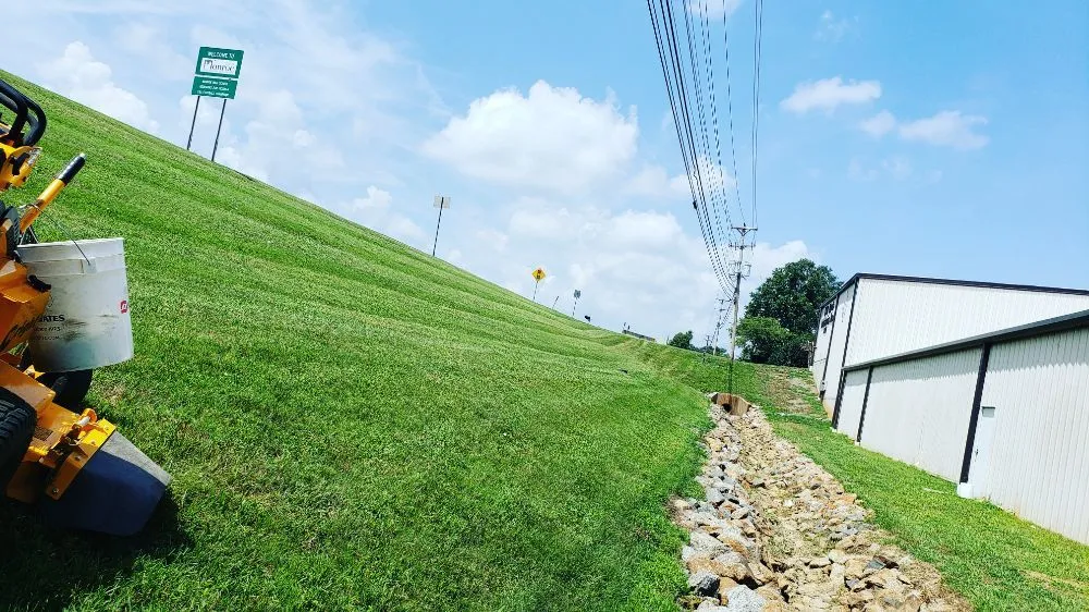 Reliable yard cleanup service in Monroe, NC by David's Mowing Services