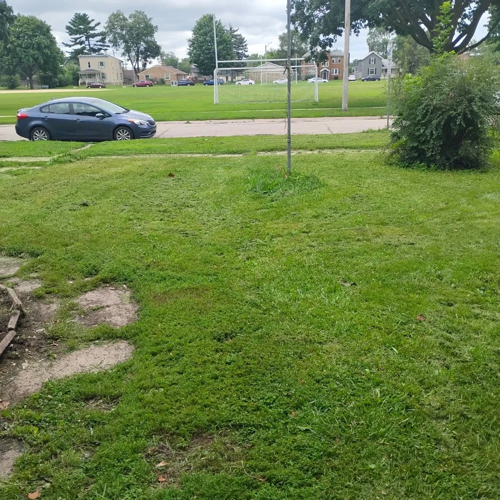 Custom landscape design in Rockford, IL - Davids Repairs And Cleaning Services