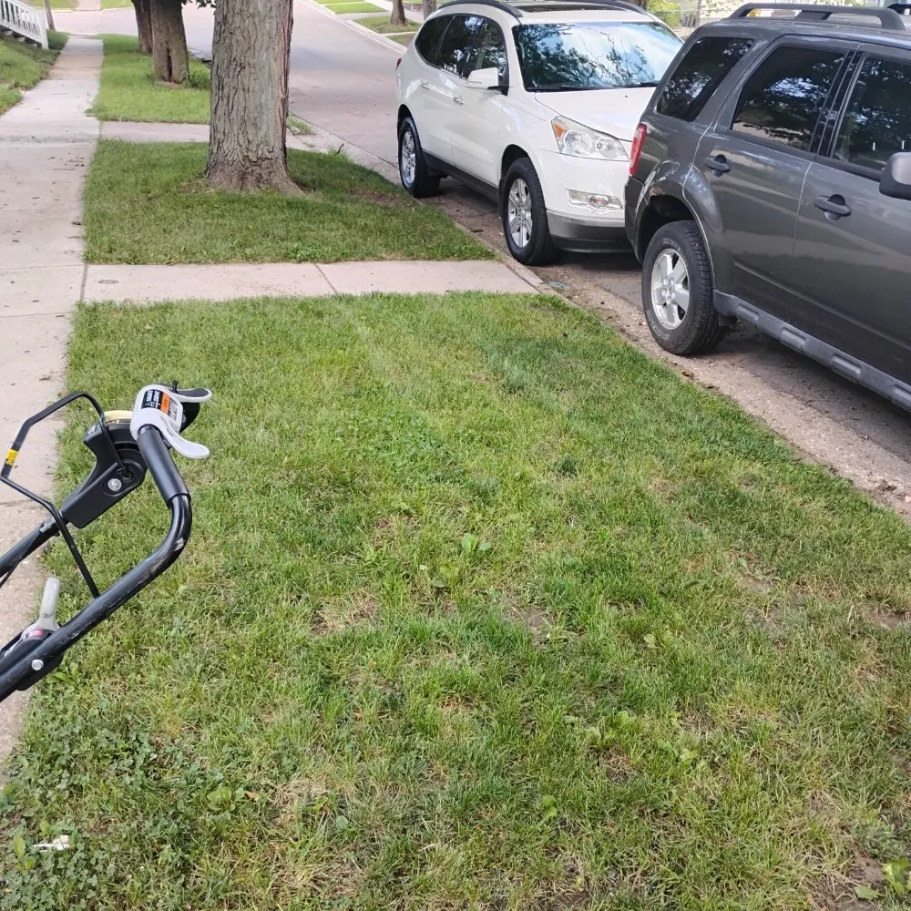 Local garden landscaping for year-round maintenance across Rockford, IL - Davids Repairs And Cleaning Services