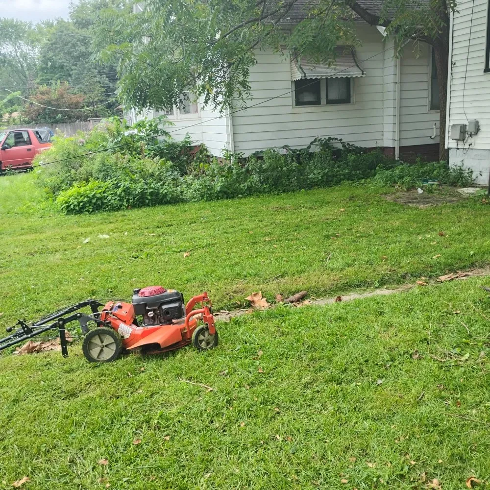 Expert landscape design experts serving Rockford, IL - Davids Repairs And Cleaning Services