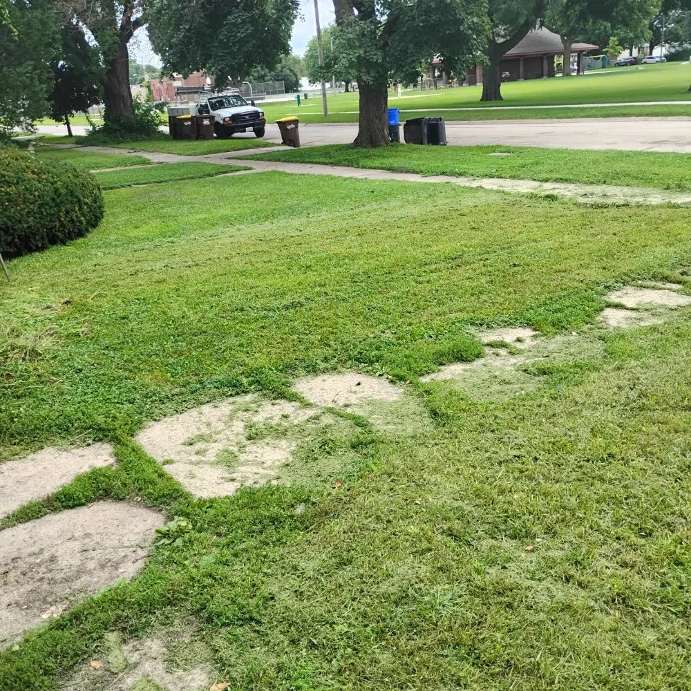 Custom lawn care service for residential properties in Rockford, IL by Davids Repairs And Cleaning Services