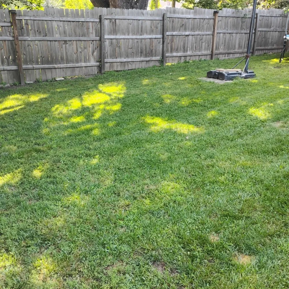 Custom landscaping services near you in Rockford, IL by Davids Repairs And Cleaning Services