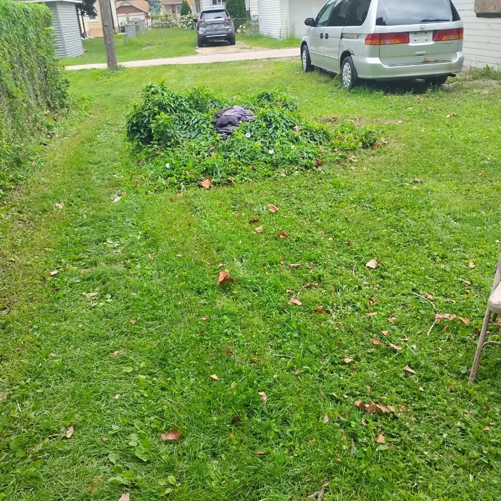 Trusted residential landscaping near you in Rockford, IL by Davids Repairs And Cleaning Services