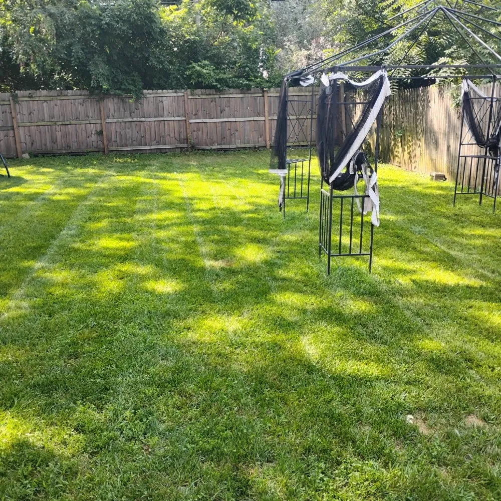 Top-rated landscape design near you in Rockford, IL by Davids Repairs And Cleaning Services