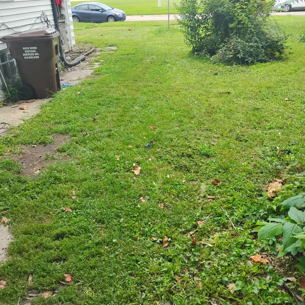 Expert landscaping services in Rockford, IL by Davids Repairs And Cleaning Services