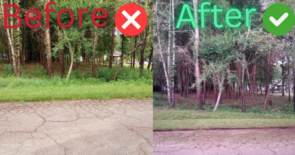 Local garden landscaping experts serving Seneca, SC - Davids Superscapes And Lawn Maintenance