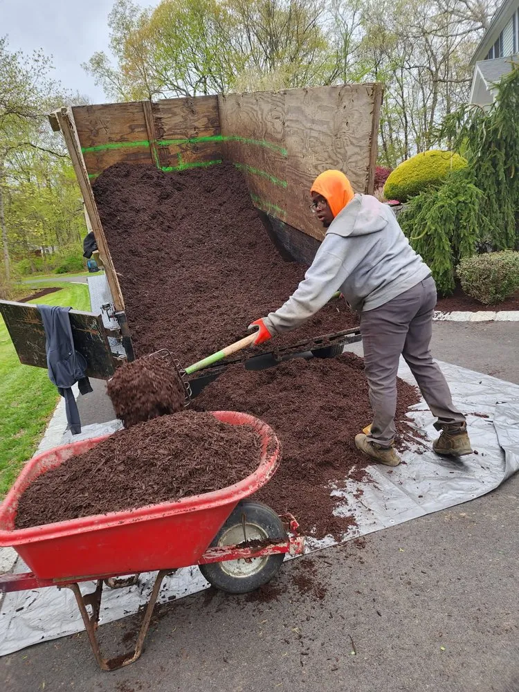 Local landscape installation for beautiful yards in Bridgeport, CT by David's Tree Service & Landscaping