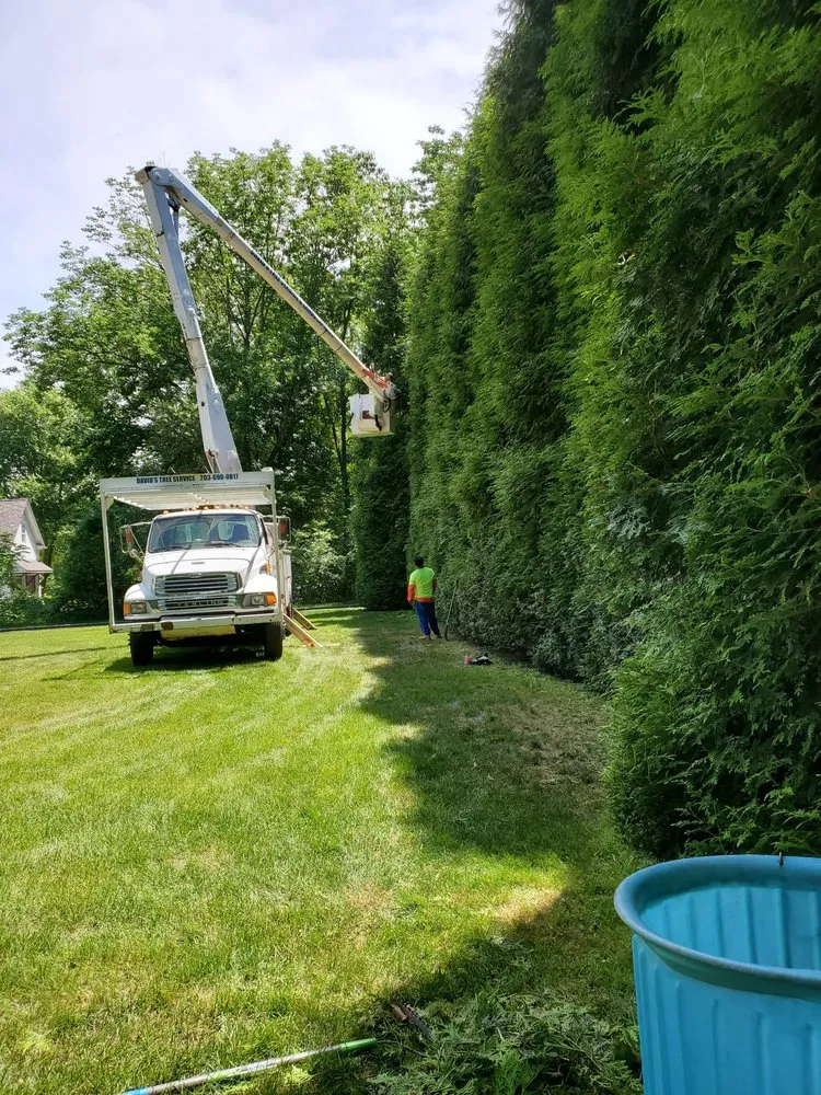 Professional garden landscaping for homes in Bridgeport, CT by David's Tree Service & Landscaping