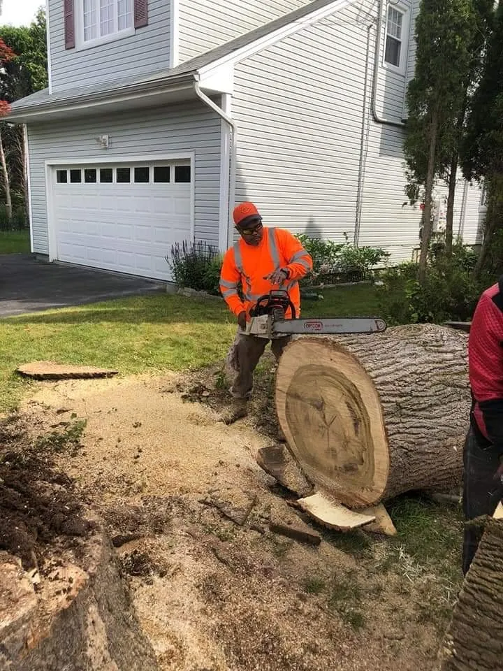 Expert yard maintenance in Bridgeport, CT - David's Tree Service & Landscaping