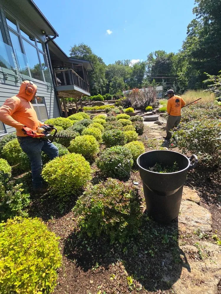 Top-rated landscape installation in Bridgeport, CT - David's Tree Service & Landscaping