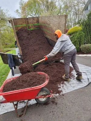 David's Tree Service & Landscaping Logo