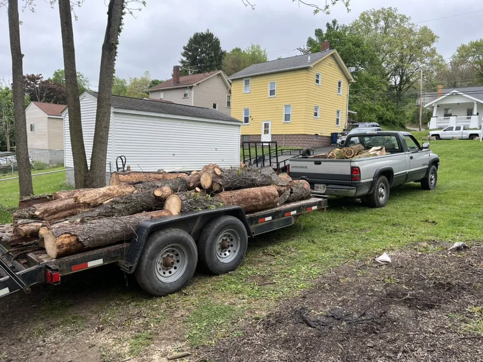 Reliable yard cleanup service experts serving Boardman, OH - Davids Tree Sevice and Landscaping