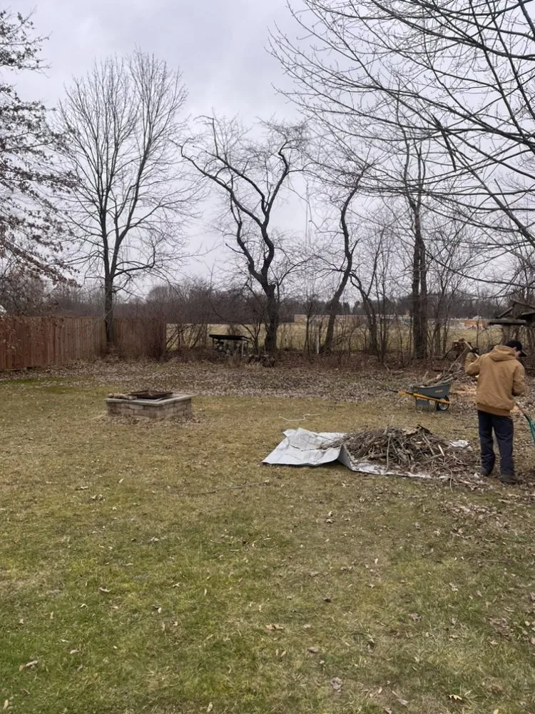 Professional landscaping services in Boardman, OH - Davids Tree Sevice and Landscaping