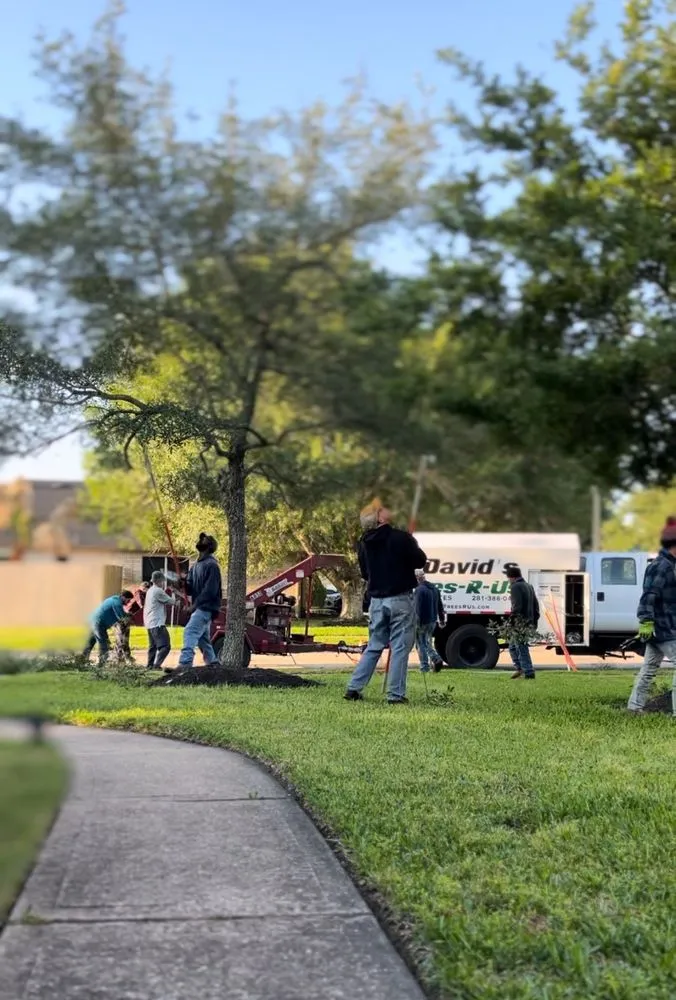 Affordable garden landscaping in Alvin, TX by David's Trees R Us